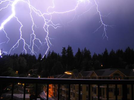 Taste the beauty of nature